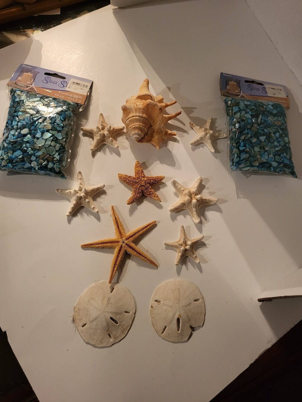 Sea Shells And Starfish Accent Decor